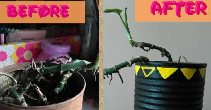 From Rusty To Rustic