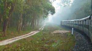 From Story To Haiku…….Part IV