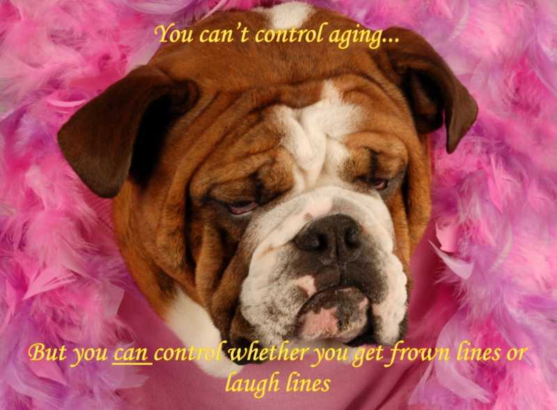 Frown Lines Or Laugh Lines?