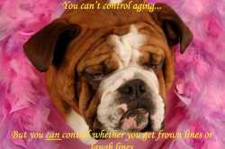 Frown lines or laugh lines?