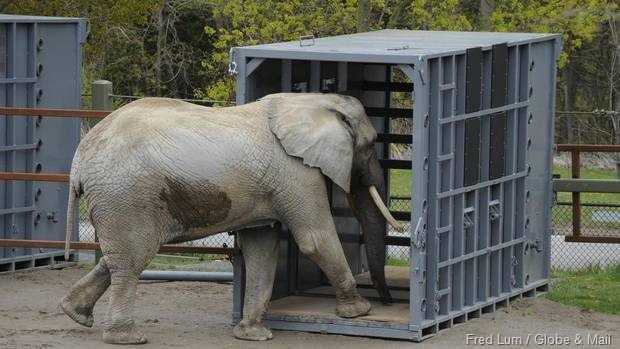 Fully Distributed Hadoop Cluster With Automatic Failover Namenode HA Using QJM & ZooKeeper On LXD Containers