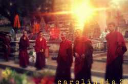 Fun Facts About Food Poisoning