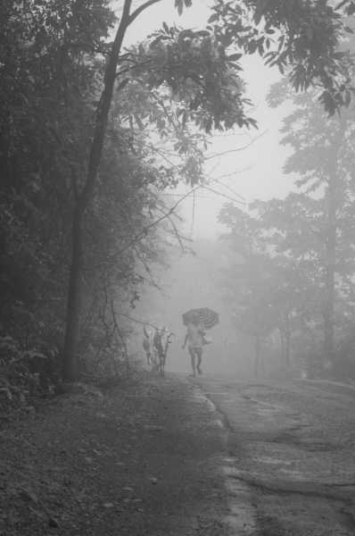 Fun At Wilson Hills - One Of The Few Hill Stations In The World From Which It Is Possible To Glimpse The Sea.