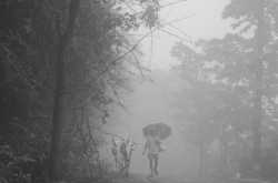 Fun at Wilson Hills - one of the few hill stations in the world from which it is possible to glimpse the sea.