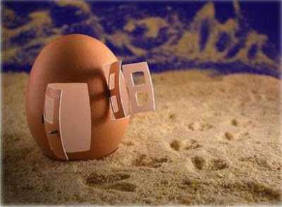 Fun With Vegetables, Fruits & Breads - Funny & Strange Vegetable, Strange Fruits & Strange Breads Pictures