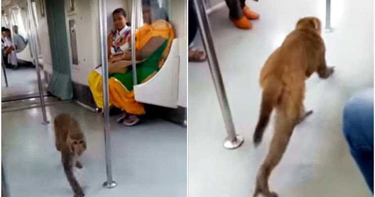 Funny Images Of Delhi NCR