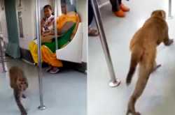 Funny Images of Delhi NCR