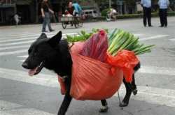 Funny and Weird Random Pics (40)