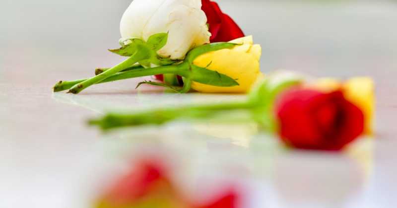 Funny Side Up! Sathya Sai And The Artist Whose Poetry Book Was Eaten By A Cow!