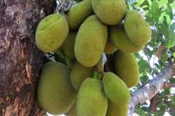 GOD [J Krishnamurti simplified]