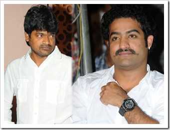 Gabbarsingh Maker Eyes On Jr.ntr