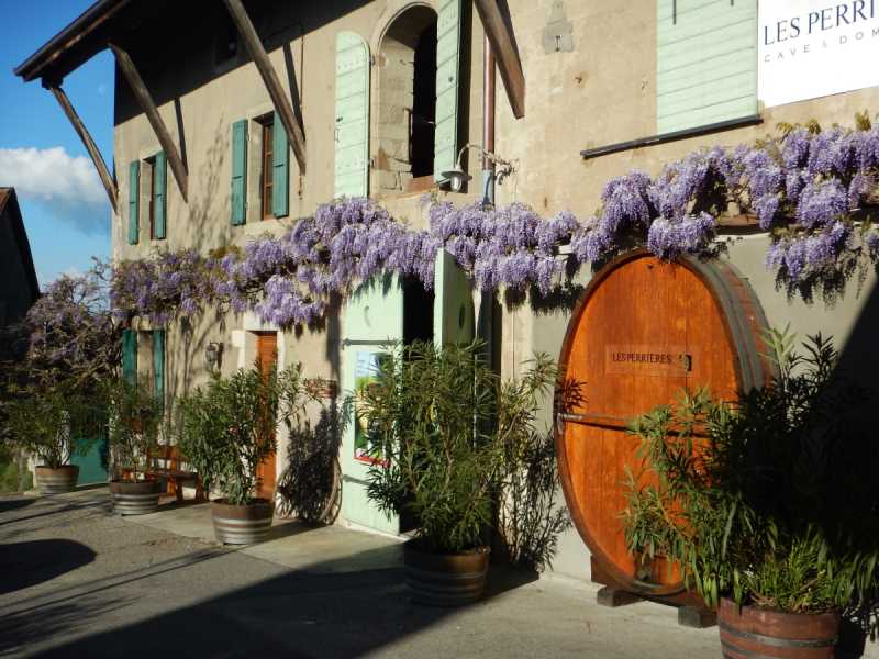 Gamaret To Divico: Swiss Wine Rules At Home