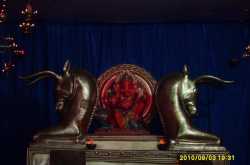 Ganesh Chaturthi Photo Gallery