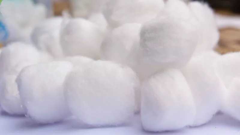 Garbage Can Cleaning