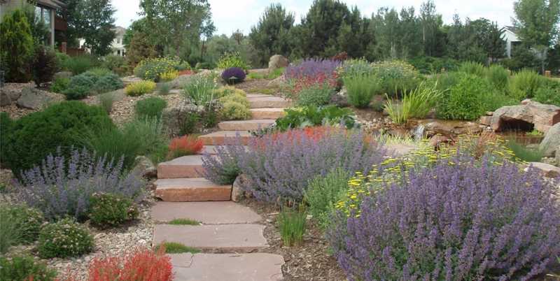 Gardening For Arid Landscapes - The Beauty Of Xeriscaping