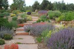 Gardening For Arid Landscapes - The Beauty of Xeriscaping