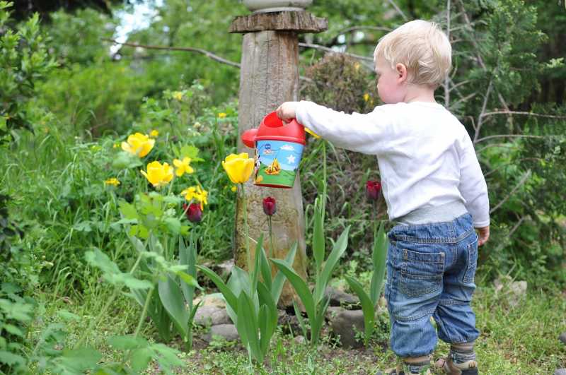 Gardening With Kids: 3 Compelling Reasons Why You Must Do It