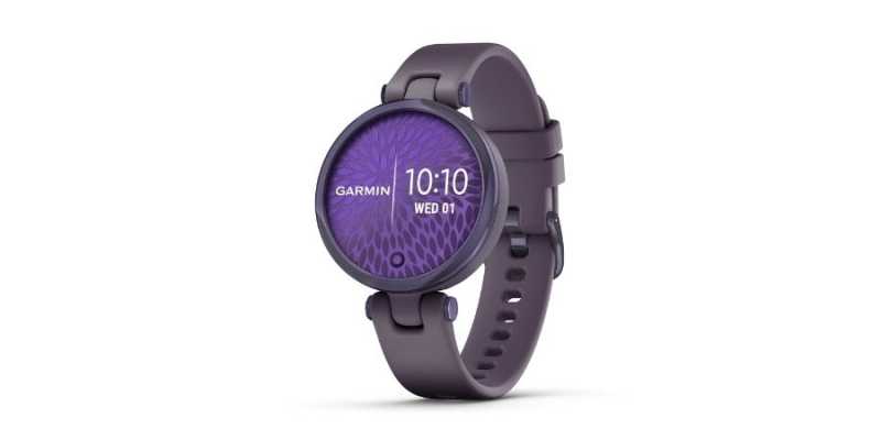 Garmin India Launched Smartwatch 