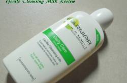 Garnier Skin Naturals Gentle Cleansing Milk Review