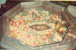 Gaya -Part I - The Vishnu Padam and Akshaya Vatam