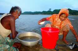 Gender Migration and Sexual Abuse and Exploitation