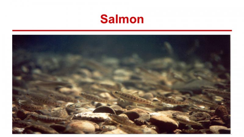 General Quiz Questions (Part 3)