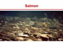 General Quiz Questions (Part 3)