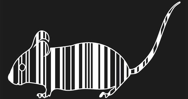 Genetic Barcodes Trace Cells Back To Single Cell Origin