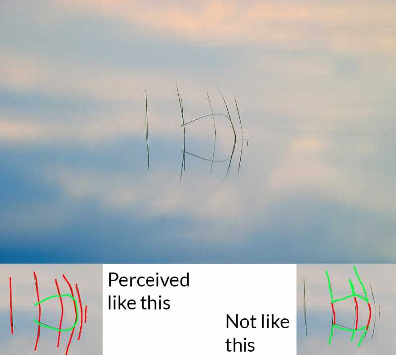 Gestalt Perception In Photography - Beautiful Pictures