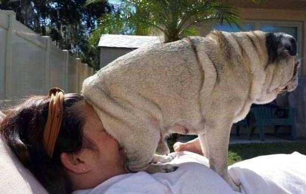 Get Ready For Funny Animals - Part 63