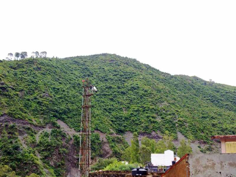 Get The Best Mobile Network Provider To Avoid Issues