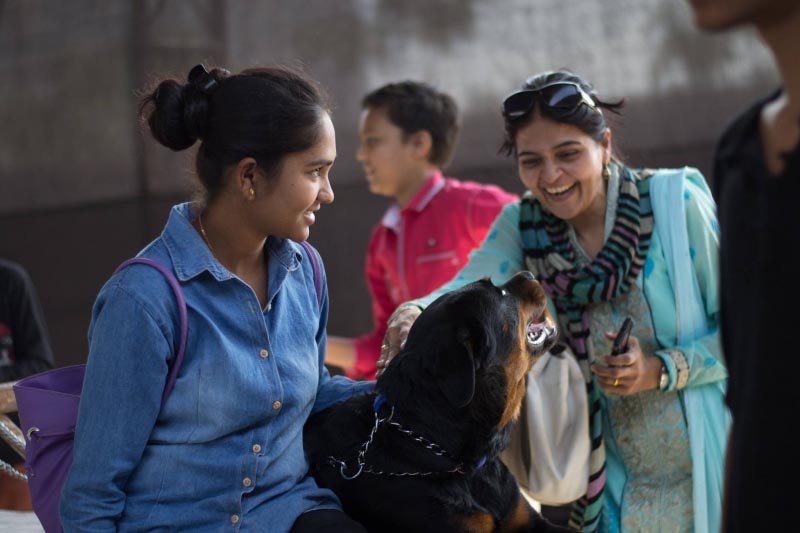 Get-together? Nope, It’s Nashik’s ‘pet-together’! - Simply Nashik