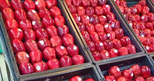 Get Transported Straight To Foothills Of Wenatchee, U.S.A With Stemilt Apples!