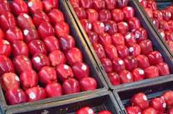 Get transported straight to foothills of Wenatchee, U.S.A with Stemilt Apples!