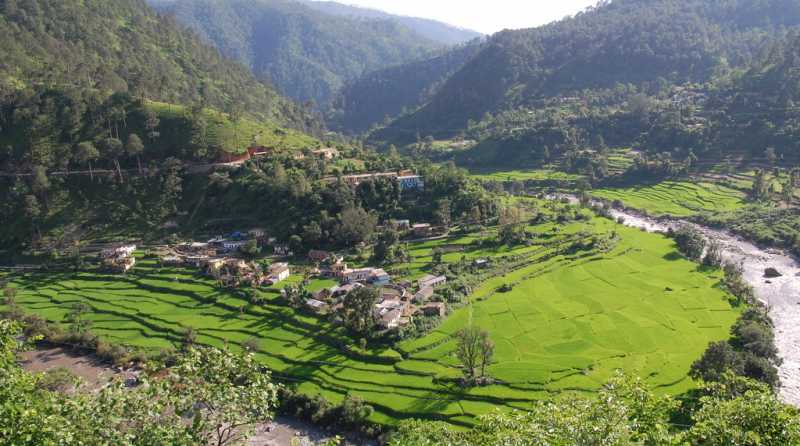 Ghuttu Loner - (2010)  Chasing The Fog