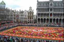 Giant Flower Carpet In Belgium