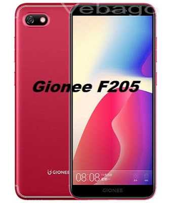 Gionee S11 Lite And Gionee F205 Launched: Price In India, Specifications And Features