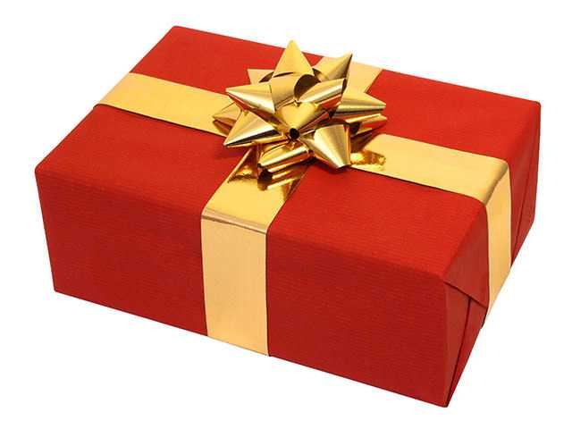 Give Your Memories A Real Life Home With Mulberry Paper Flower