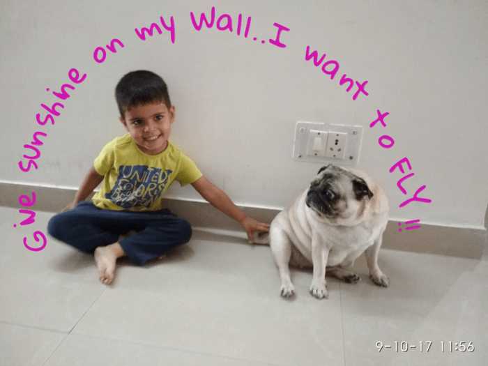 Give Me Some Sunshine On My Wall… I Am Ready To FLY…!