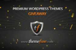 Giveaway #1: 3 Premium WordPress Themes from ThemeFuse 2013