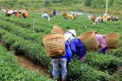 Glimpses of Central Vietnam cottage industries