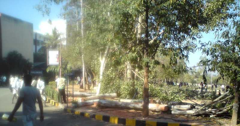 Go Green Becoming "go AWAY Green"