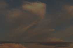 GoIbibo: broadcasting travel plans since God knows when!