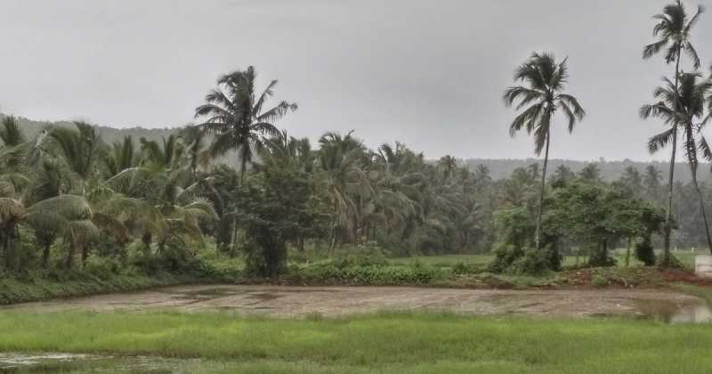 Goa As Seen From My Eyes