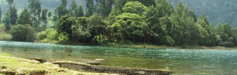 God And Elections…A Tribute To Jaspal Bhatti.