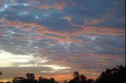 God has painted it all!!