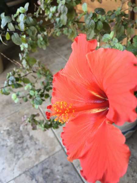 Gods Love A Bit Of Gratitude