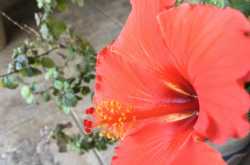 Gods love a bit of gratitude