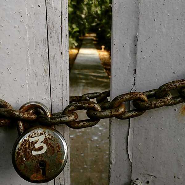 Going Indi(e) With Tata