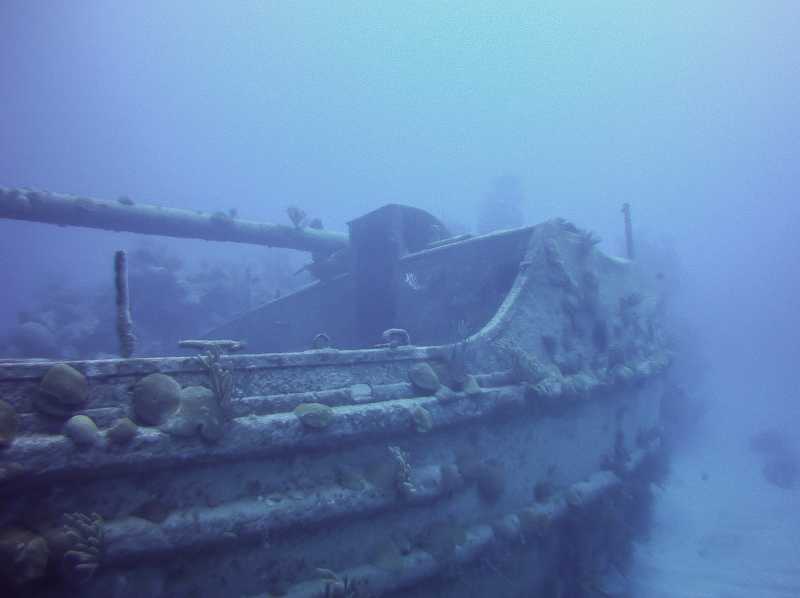Going Under In Bermuda